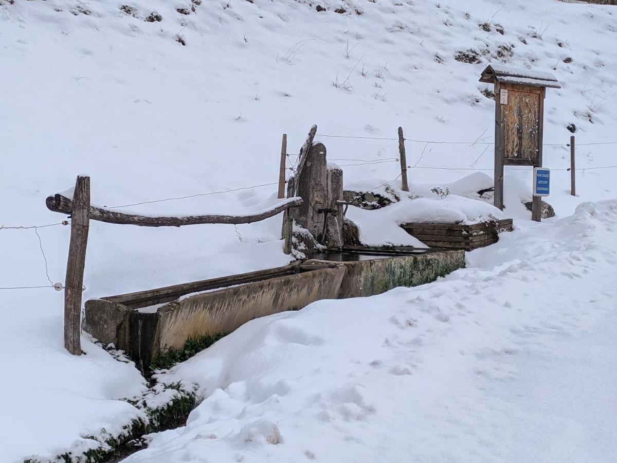 Maison Familiale En Montagne Avec Vue Merveilleuse Sur Le Massif De Belledonne Saint-Bernard  Zewnętrze zdjęcie