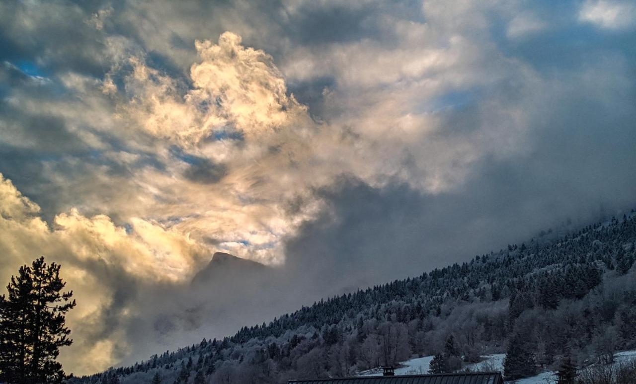 Maison Familiale En Montagne Avec Vue Merveilleuse Sur Le Massif De Belledonne Saint-Bernard  Zewnętrze zdjęcie